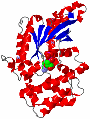 Image Asym./Biol. Unit