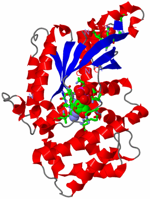 Image Asym./Biol. Unit - sites