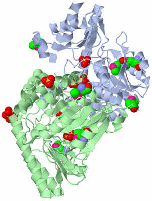 Image Asym./Biol. Unit