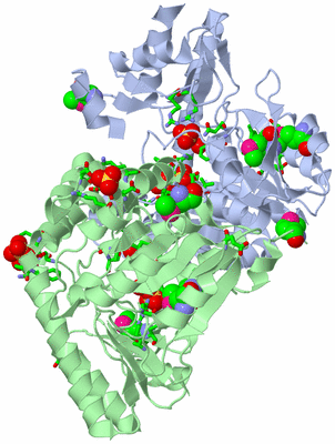 Image Asym./Biol. Unit - sites