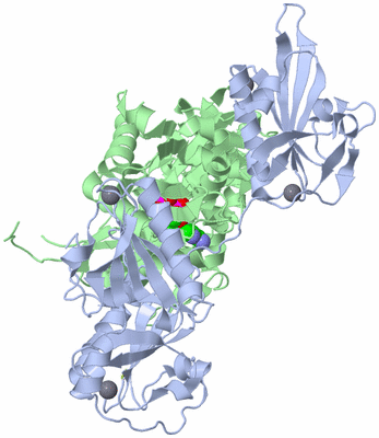 Image Biological Unit 1