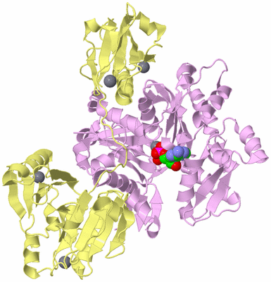 Image Biological Unit 2