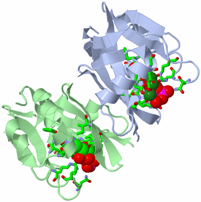 Image Asym./Biol. Unit - sites