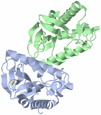 Image Asymmetric Unit