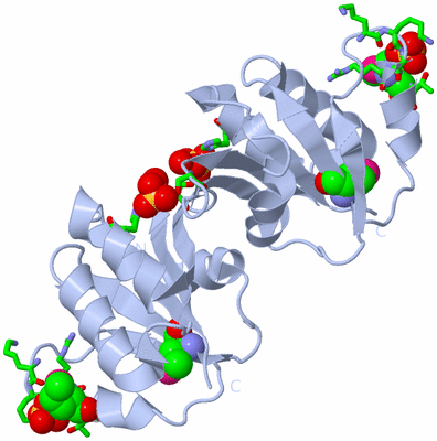 Image Biol. Unit 1 - sites