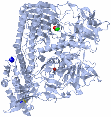 Image Biological Unit 1