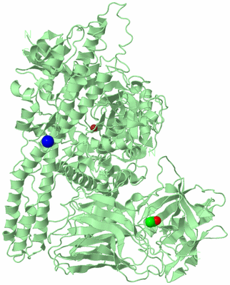 Image Biological Unit 2