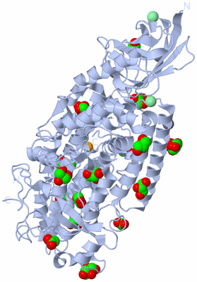 Image Biological Unit 1