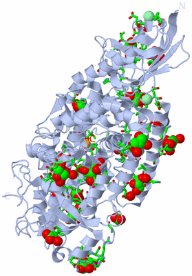 Image Biol. Unit 1 - sites