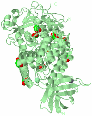 Image Biological Unit 2