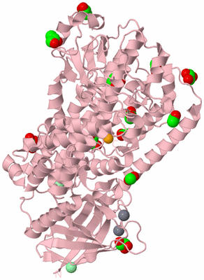 Image Biological Unit 3