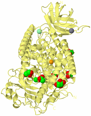 Image Biological Unit 4