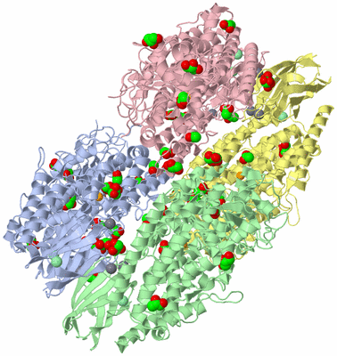 Image Biological Unit 5