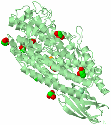 Image Biological Unit 2