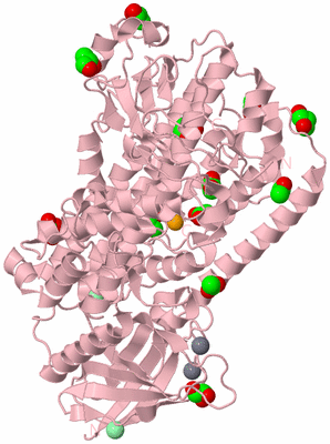 Image Biological Unit 3