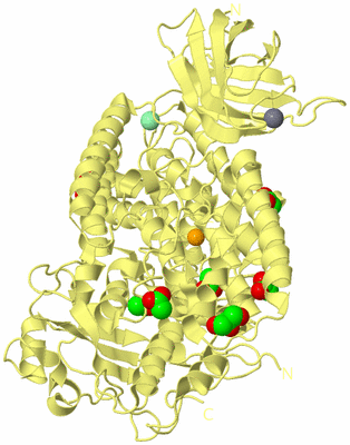 Image Biological Unit 4