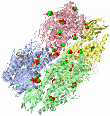 Image Biological Unit 5