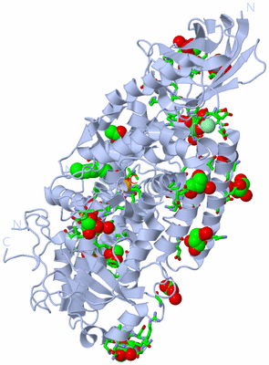 Image Biol. Unit 1 - sites