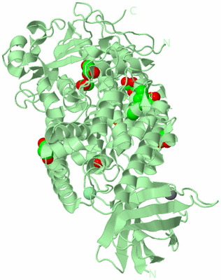 Image Biological Unit 2