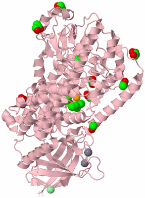 Image Biological Unit 3