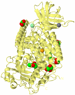 Image Biological Unit 4