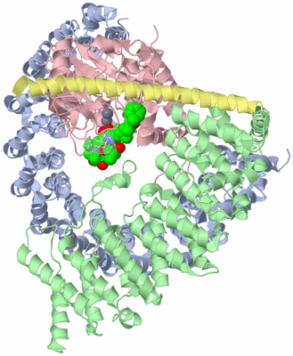 Image Asym./Biol. Unit