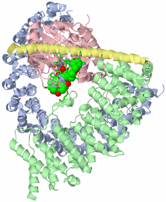 Image Asym./Biol. Unit - sites