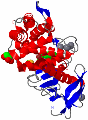 Image Asym./Biol. Unit