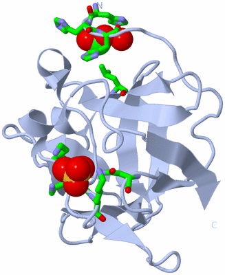 Image Biol. Unit 1 - sites