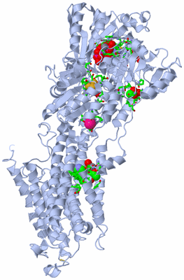 Image Biol. Unit 1 - sites