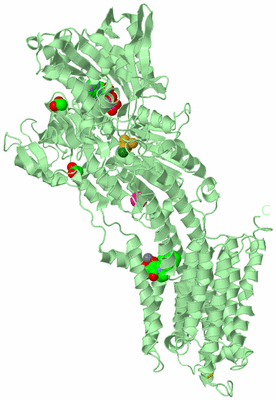 Image Biological Unit 2