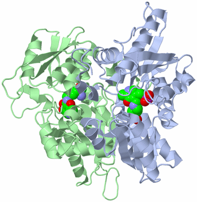 Image Asym./Biol. Unit