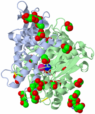 Image Asym./Biol. Unit