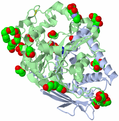 Image Asym./Biol. Unit