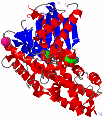 Image Asym./Biol. Unit