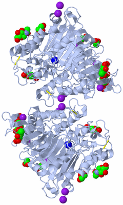 Image Biological Unit 1