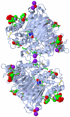 Image Biol. Unit 1 - sites