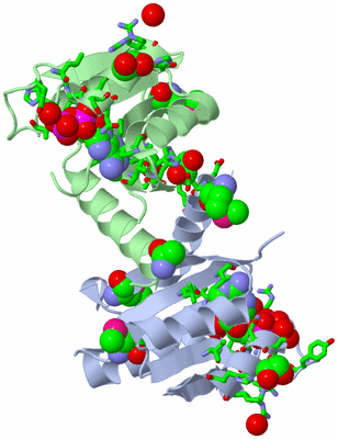 Image Asym./Biol. Unit - sites