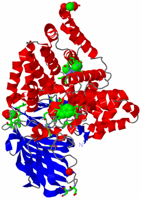 Image Asym./Biol. Unit - sites