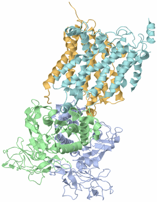 Image Biological Unit 1