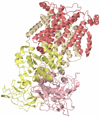 Image Biological Unit 2