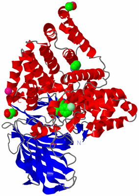 Image Asym./Biol. Unit