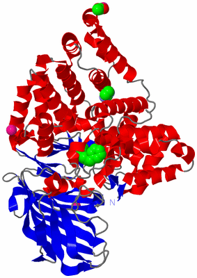 Image Asym./Biol. Unit