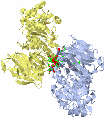 Image Biol. Unit 1 - sites