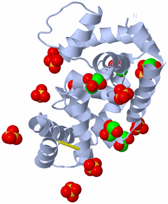 Image Biological Unit 1