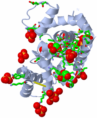 Image Biol. Unit 1 - sites