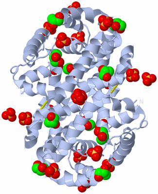 Image Biological Unit 2