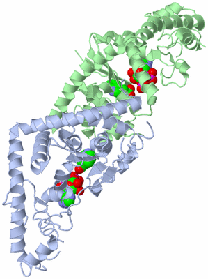 Image Biological Unit 1