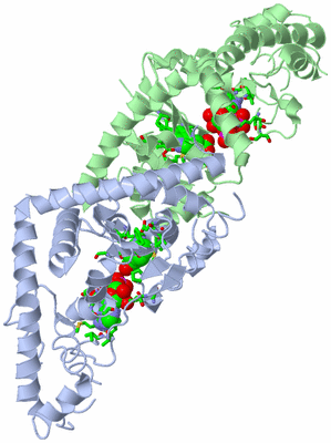 Image Biol. Unit 1 - sites