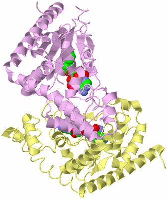 Image Biological Unit 2